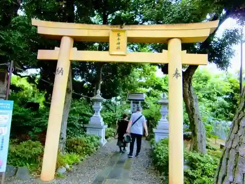 菊田神社の鳥居