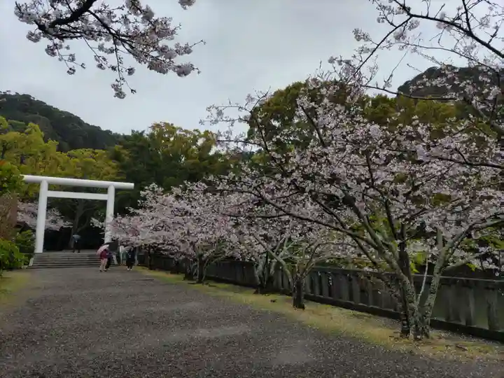 安房神社の自然
