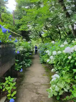 観音寺(京都府)