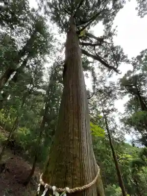 玉置神社(奈良県)