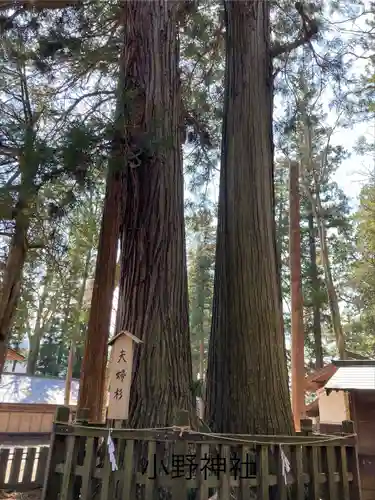 小野神社(長野県)