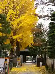 高安寺(東京都)