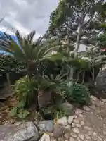 見桃寺(神奈川県)