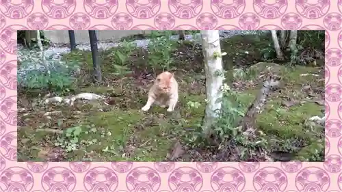 小松寺(千葉県)