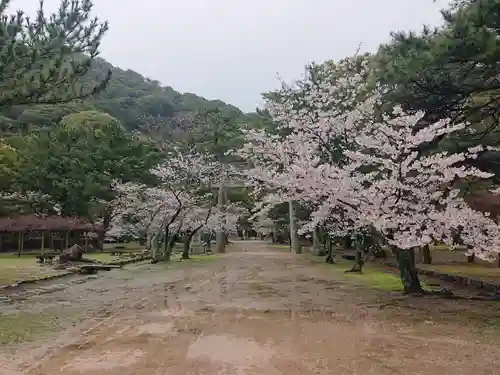 志都岐山神社(山口県)