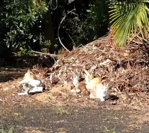 白山神社(宮城県)