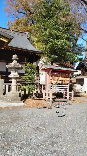 安積國造神社の動物