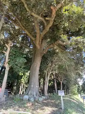 宇都母知神社(神奈川県)