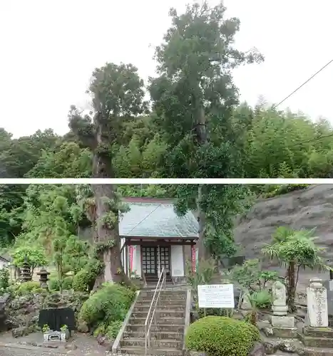 眞珠院のその他建物