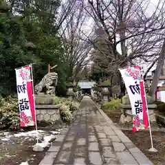 神炊館神社 ⁂奥州須賀川総鎮守⁂の狛犬