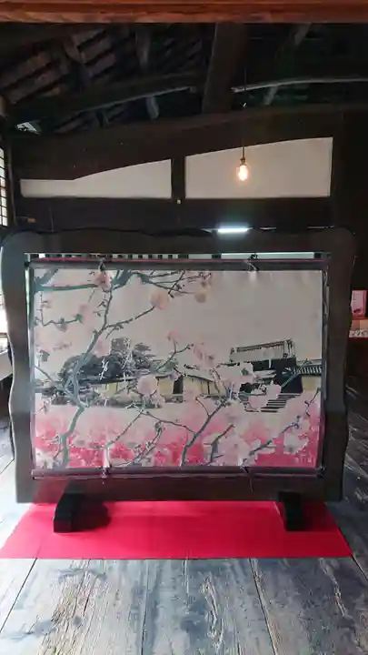 隨心院(随心院)(京都府)