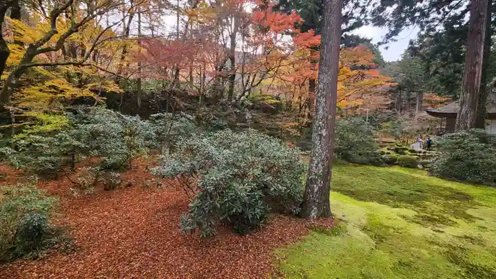 三千院門跡(京都府)