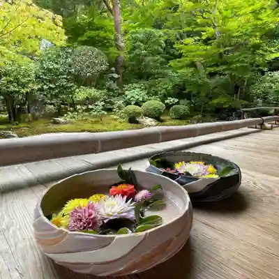 二尊院の手水舎