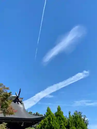 山城ゑびす神社の景色