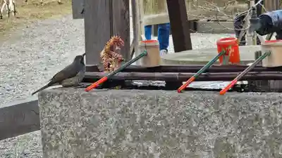 弘道館鹿島神社(茨城県)