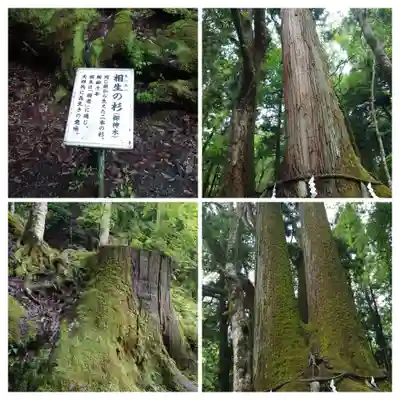 貴船神社奥宮(京都府)