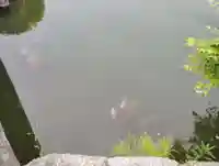 宇賀神社の動物