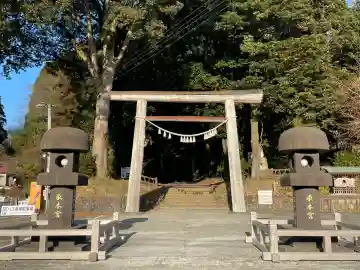 天岩戸神社 東本宮の{uncategorized: "未分類", other: "その他", undefined: "問題あり", building: "その他建物", grave: "お墓", sacred_gate: "鳥居", guardian: "狛犬", statue: "像", buddha: "仏像", history: "歴史", nature: "自然", garden: "庭園", animal: "動物", pagoda: "塔", temizu: "手水舎", mountain_gate: "山門・神門", sanctuary: "本殿・本堂", subordinate: "末社・摂社", art: "芸術", scenery: "景色", jizo: "地蔵", ema: "絵馬", goshuin: "御朱印", omikuji: "おみくじ", items: "授与品その他", amulet: "お守り", goshuincho: "御朱印帳", eats: "食事", festival: "お祭り", votive_dance: "神楽", shichigosan: "七五三参", wedding: "結婚式", experience: "体験その他", initially: "初詣", around: "周辺", anti_infection: "感染症対策"}