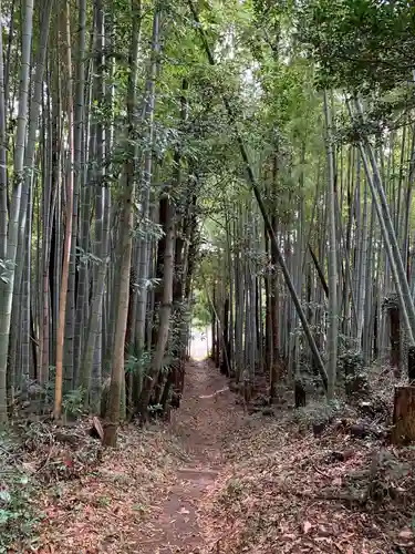 小鷹神社の景色