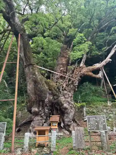葛見神社(静岡県)