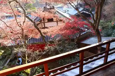 柳谷観音　楊谷寺(京都府)