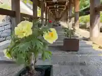 長谷寺の{uncategorized: "未分類", other: "その他", undefined: "問題あり", building: "その他建物", grave: "お墓", sacred_gate: "鳥居", guardian: "狛犬", statue: "像", buddha: "仏像", history: "歴史", nature: "自然", garden: "庭園", animal: "動物", pagoda: "塔", temizu: "手水舎", mountain_gate: "山門・神門", sanctuary: "本殿・本堂", subordinate: "末社・摂社", art: "芸術", scenery: "景色", jizo: "地蔵", ema: "絵馬", goshuin: "御朱印", omikuji: "おみくじ", items: "授与品その他", amulet: "お守り", goshuincho: "御朱印帳", eats: "食事", festival: "お祭り", votive_dance: "神楽", shichigosan: "七五三参", wedding: "結婚式", experience: "体験その他", initially: "初詣", around: "周辺", anti_infection: "感染症対策"}