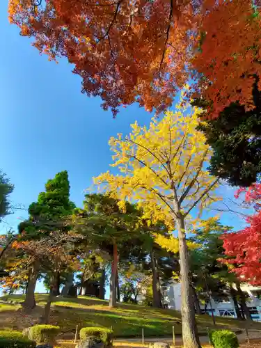 麓山神社の自然