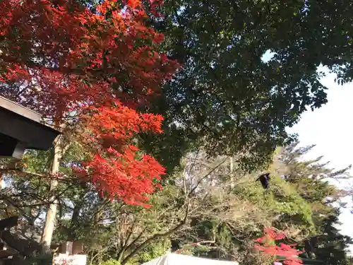 検見川神社の景色