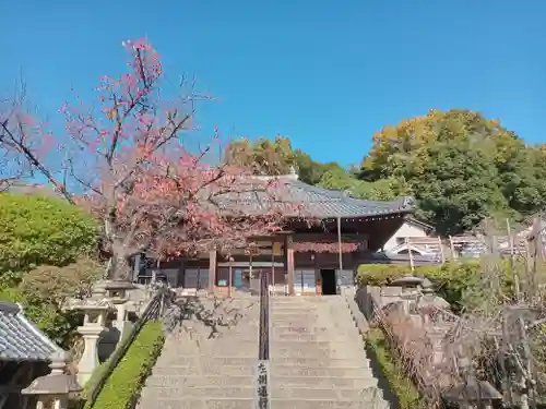 慈眼寺(大阪府)