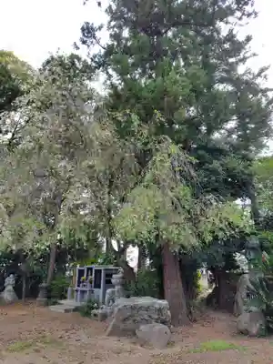 南光寺(笠懸不動尊)(群馬県)