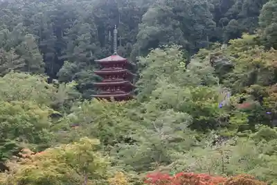 長谷寺(奈良県)