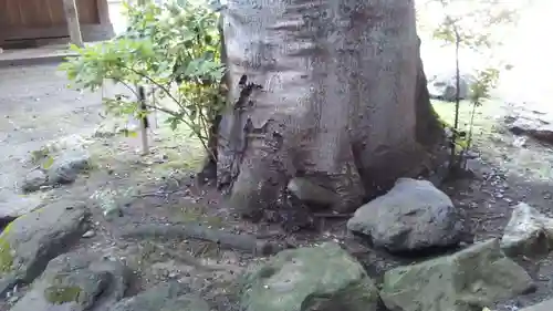 駒形神社の建物その他