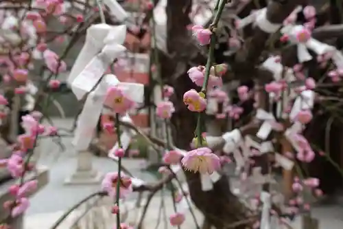 生國魂神社御旅所の自然