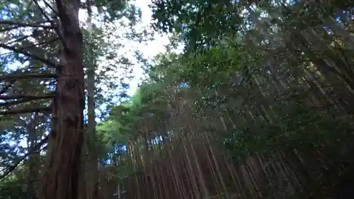 京都帝釈天の景色