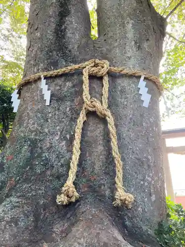 比々多神社の自然