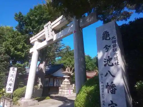 亀ケ池八幡宮の鳥居