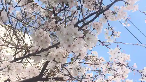 諏訪神社の自然