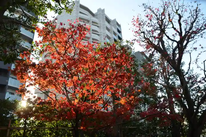 厳嶋神社の自然