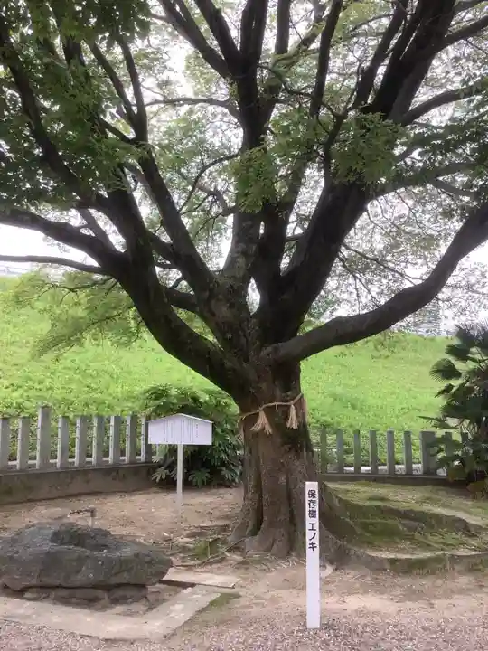 西八龍社の自然