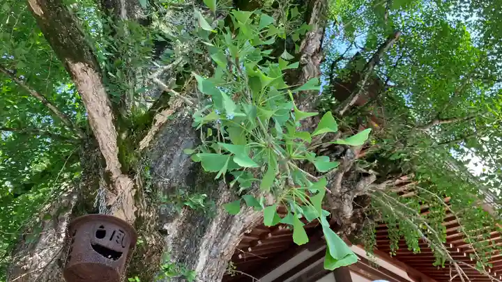 吉備津神社(岡山県)