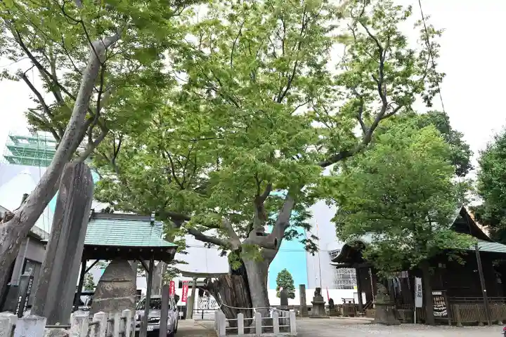 阿邪訶根神社(福島県)