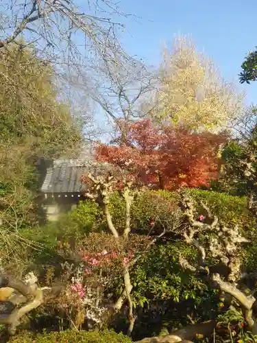 浄光明寺の庭園