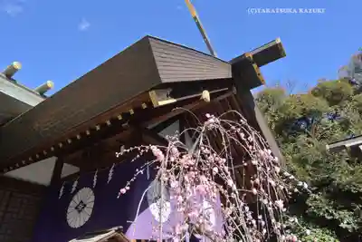 東京大神宮(東京都)