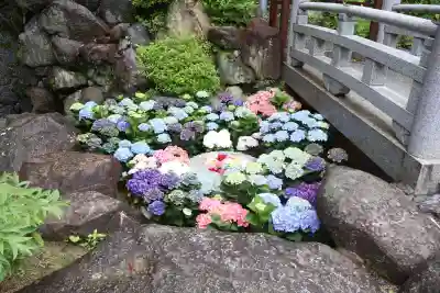 岡寺（龍蓋寺）(奈良県)
