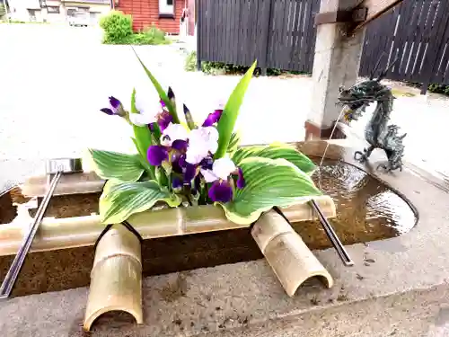 守りの神　藤基神社の手水舎