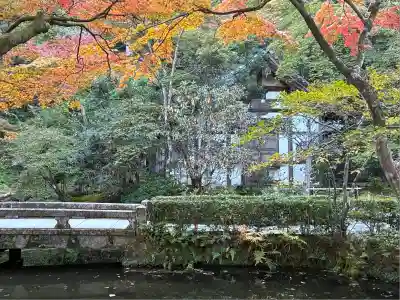 法然院(京都府)