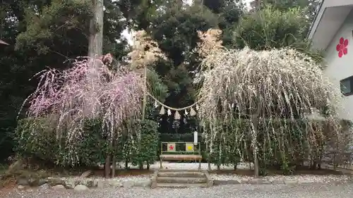 矢奈比賣神社（見付天神）(静岡県)