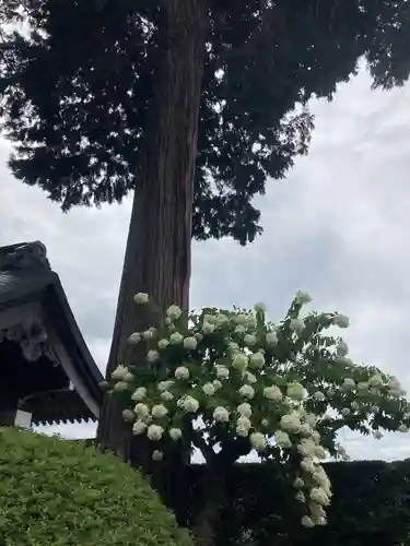 弘長寺(長野県)