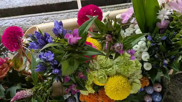 勝林寺(京都府)