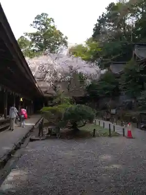 吉野水分神社(吉野町)の本殿・本堂
